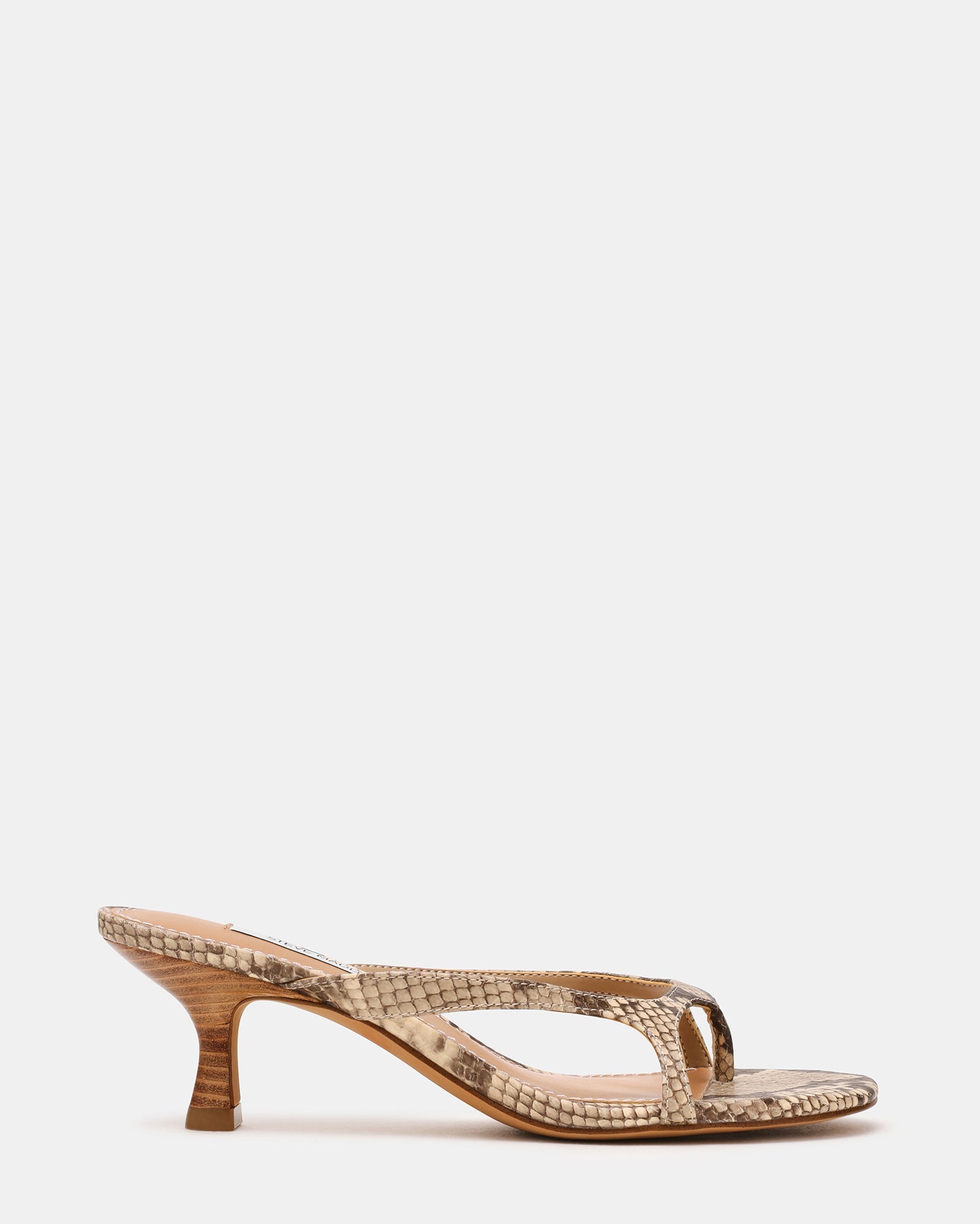 BRIENNA Snake Thong Women's Kitten Heel | Steve Madden